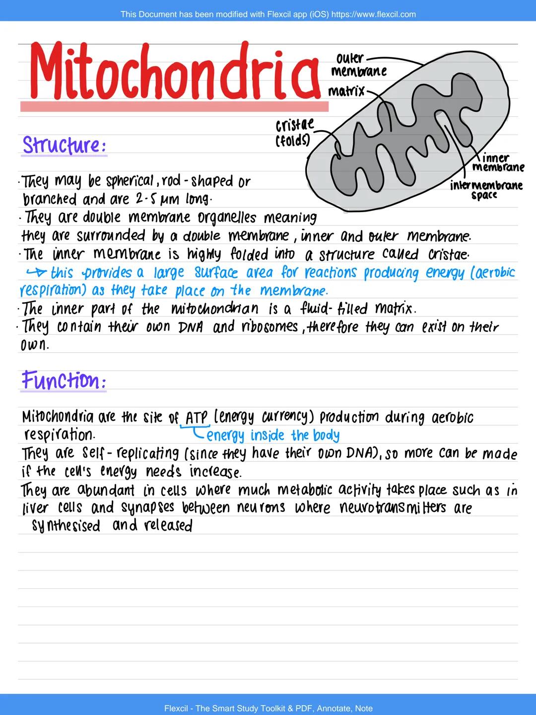 --- OCR Start ---
Cell Ultrastructure OCR Awilexil.com
Nucleus
☐
-nuclear envelope
nuclear pore
☐
chromatin
nudeolus
Structure:
Nuclear enve