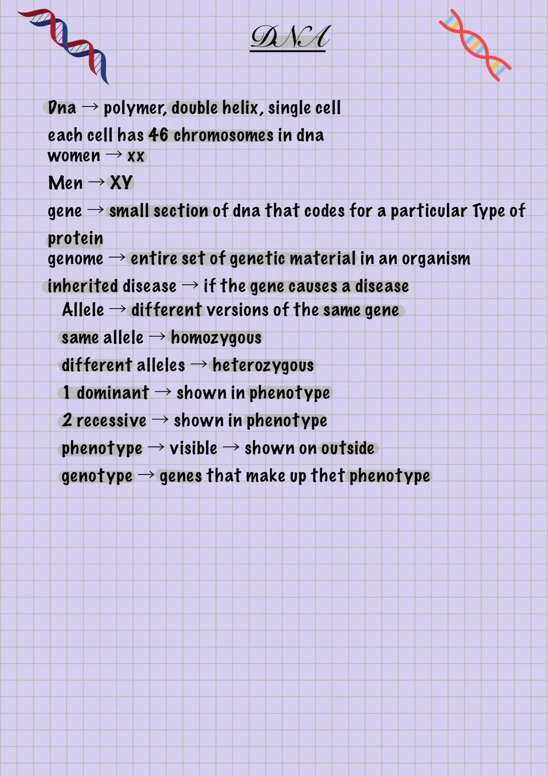 --- OCR Start ---
Pupil
Iris
Human Eye Anatomy
Biology - Eye
Ciliary
Sclera
Choroid
Retina
Fovea centralis
Optic disc
(blind spot)
Blood
ves