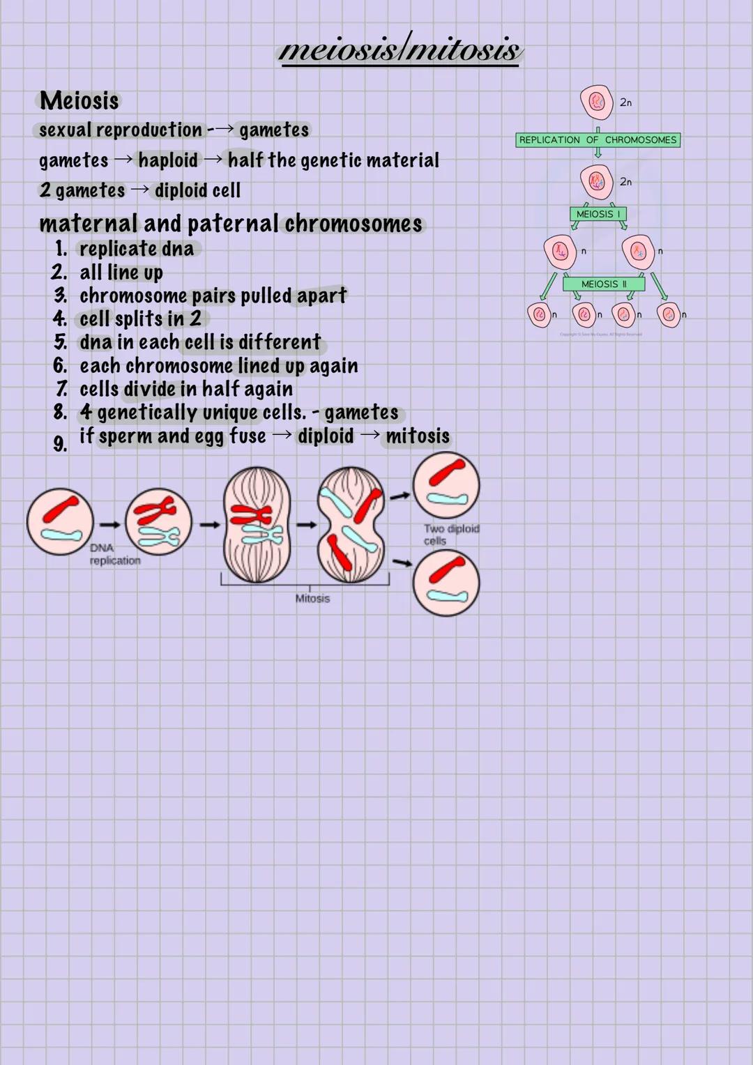 --- OCR Start ---
Pupil
Iris
Human Eye Anatomy
Biology - Eye
Ciliary
Sclera
Choroid
Retina
Fovea centralis
Optic disc
(blind spot)
Blood
ves