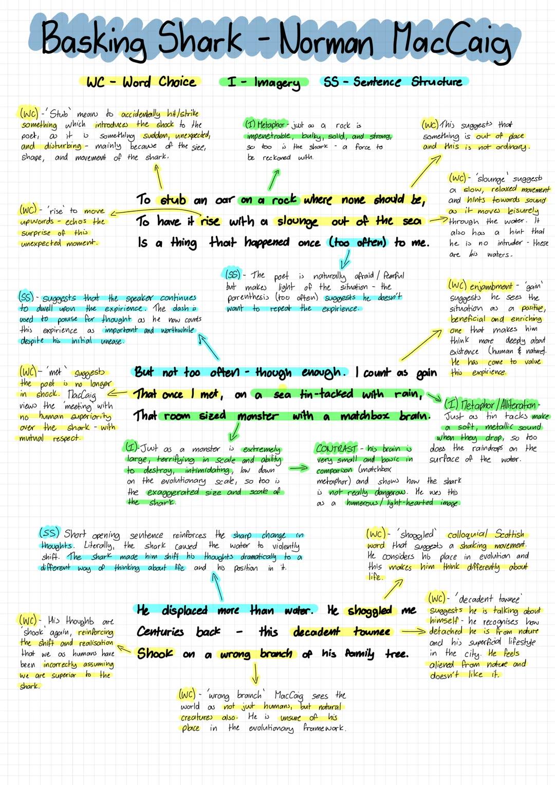Basking Shark - Norman MacCaig