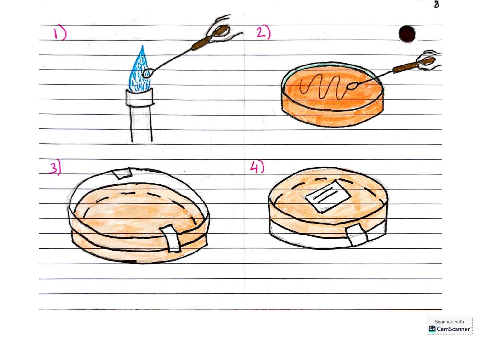 B5-Communicable diseases
- health - a state of physical and mental well-
being, not just an absence of disease
- disease- Major cause of ill