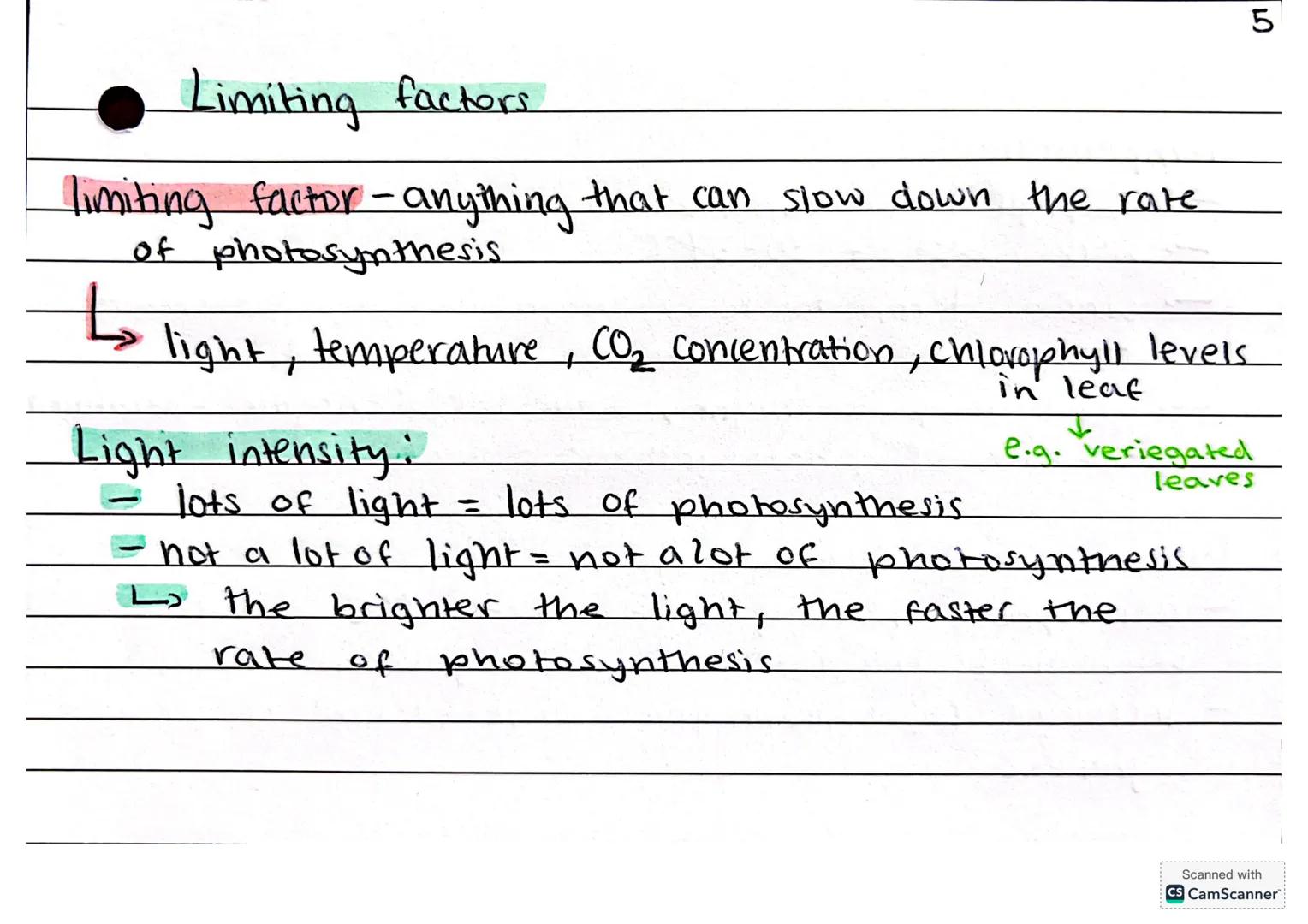 B8 - Photosynthesis
differences between animal + plant cells:
- plant cells have a cell wall to maintain
Structure , vacuole to absorb $\fr