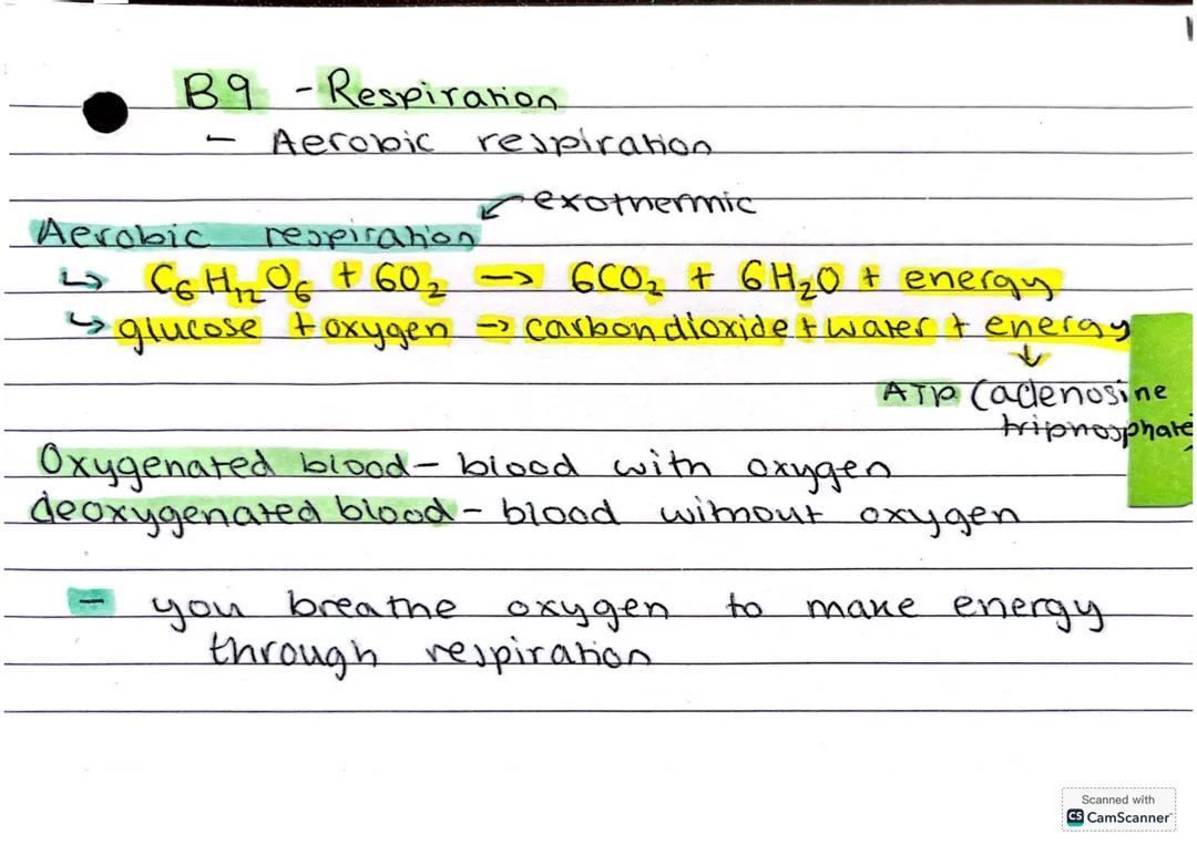 GCSE triple biology paper 1 - B9