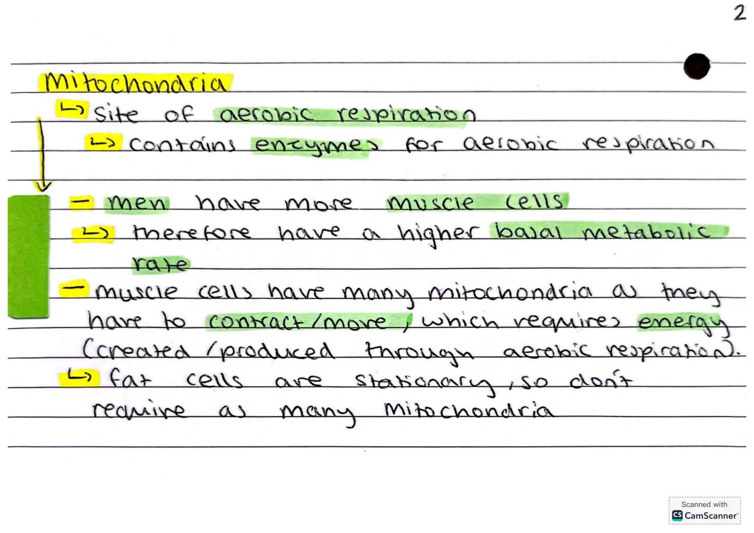 --- OCR Start ---
B9
- Respiration.
Aerobic respiration
Aerobic respiration
rexothermic
$6H_{12}O_{6}+6O_{2}
ightarrow600_{2}+6H_{2}O+energy