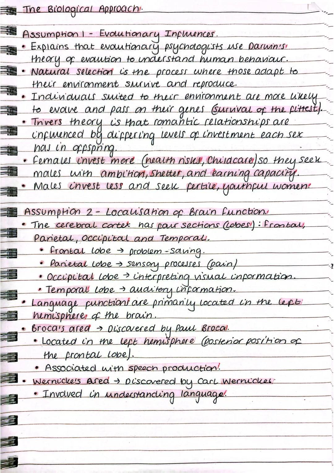 --- OCR Start ---
The Biological Approach.
Assumption 1 - Evolutionary Influences.
• Explains that evolutionary psychdogists use Darwin's
th