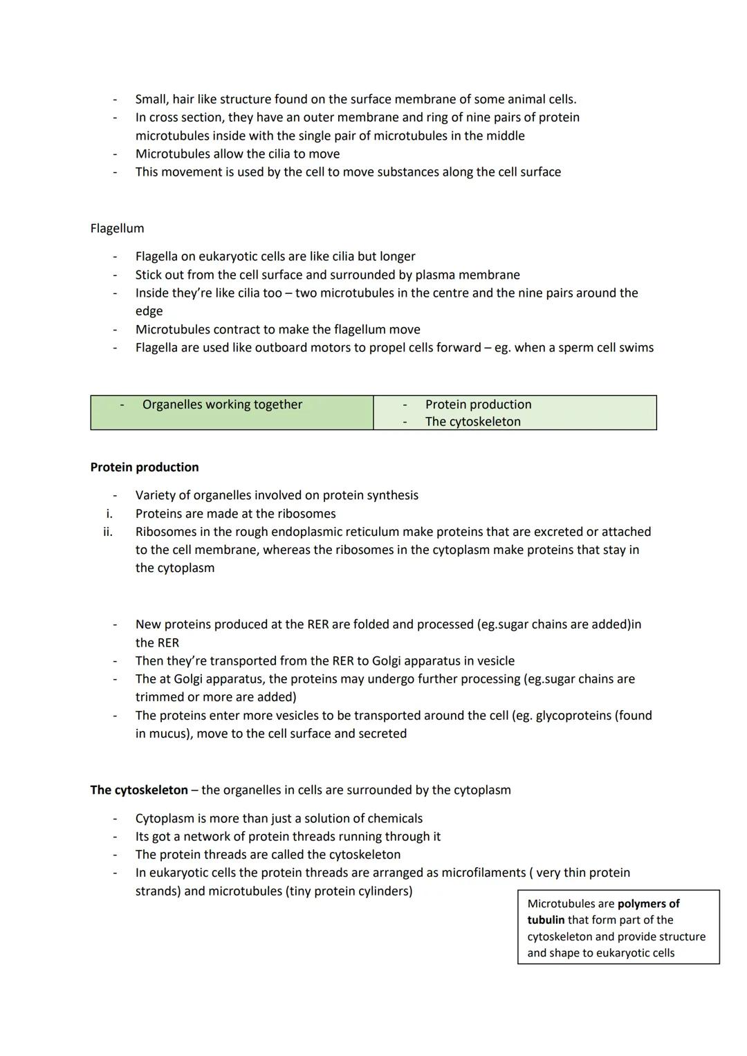 # Biology revision - exam practice
# Cell structure
- Cells and organelles
- Organelles working together
- Prokaryotic cells
- How micro