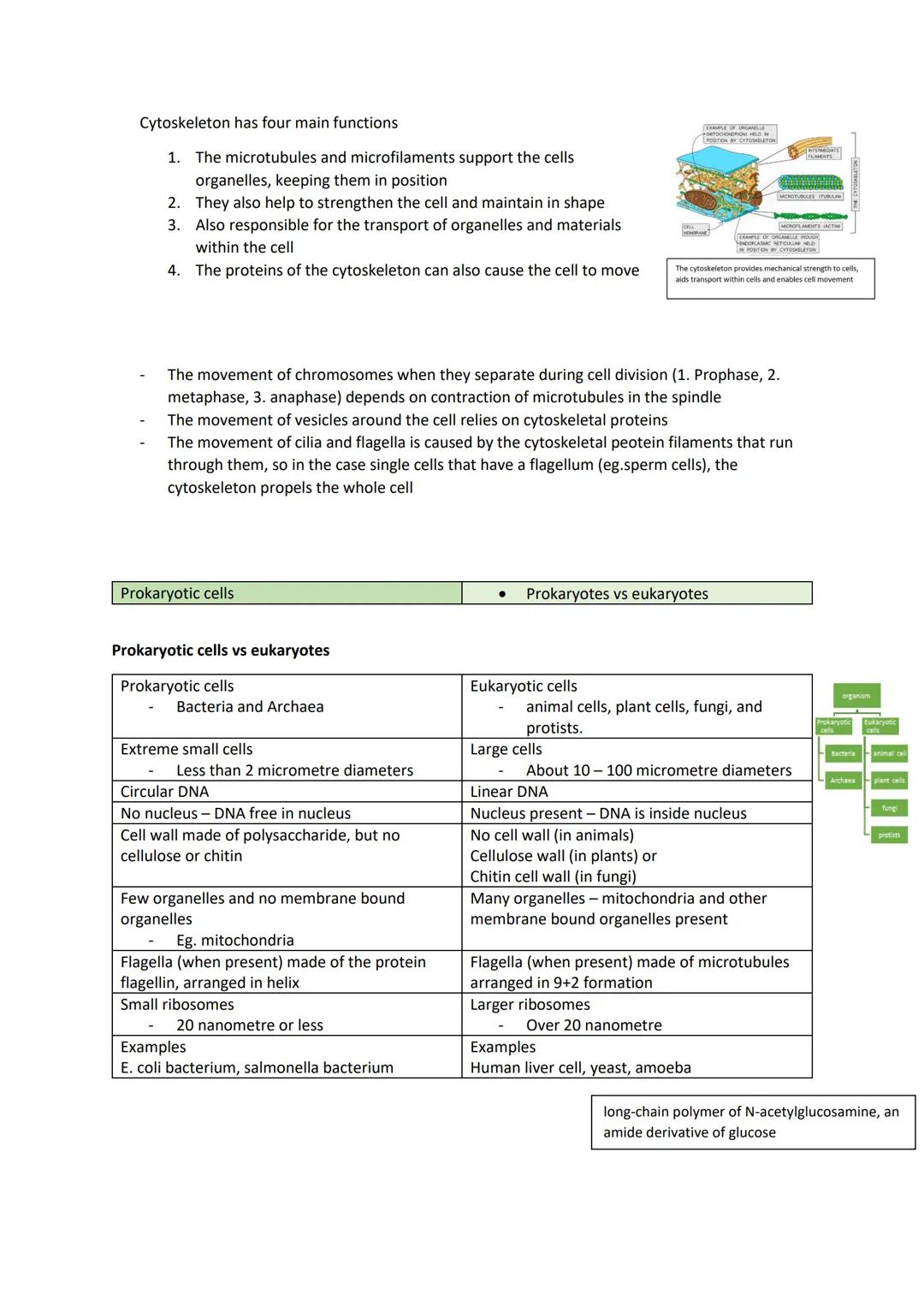# Biology revision - exam practice
# Cell structure
- Cells and organelles
- Organelles working together
- Prokaryotic cells
- How micro