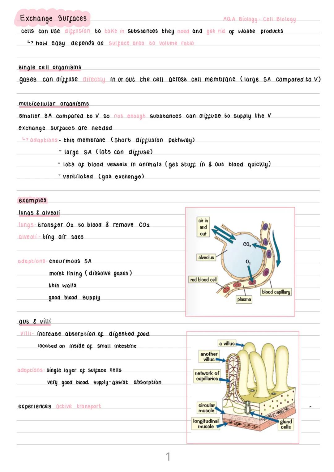--- OCR Start ---
Diffusion, Active Transport
Diffusion
AQA Biology Cell Biology
diffusion spreading out of particles from an area of higher