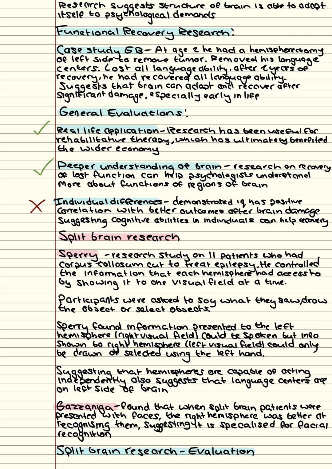 Aol
A03
Divisions of the nervous system
Nervous System
Central nervous System
Peripheral nervous System
Brain
Spinal cord
Autonomic NS
Somat
