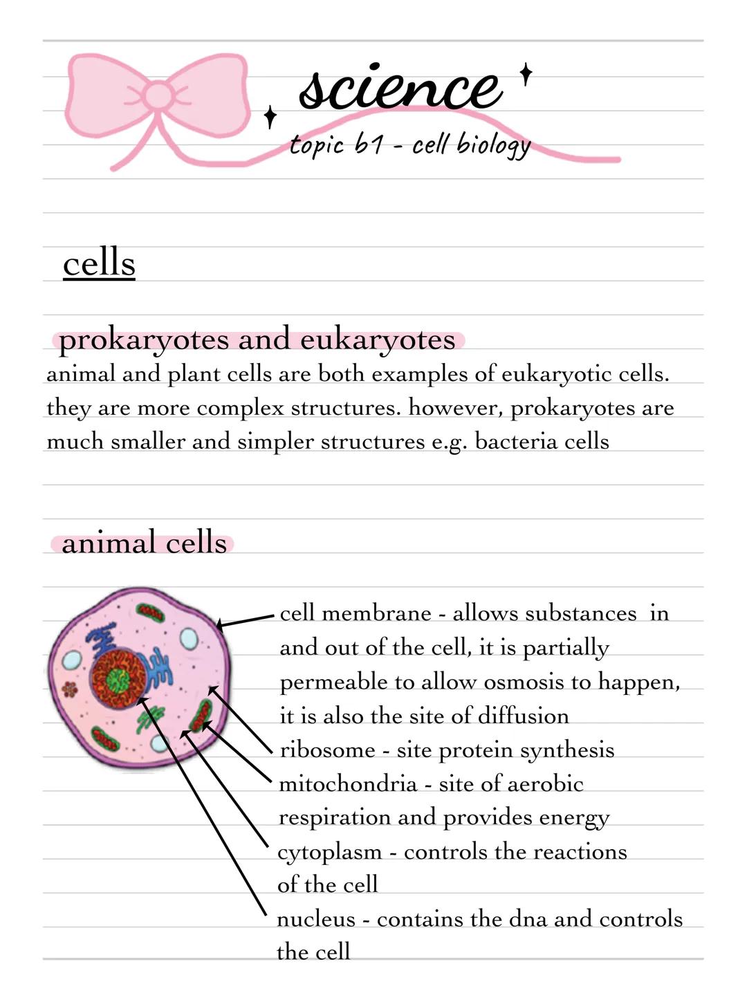 aqa higher tier combined science - biology b1 : cell biology, paper 1