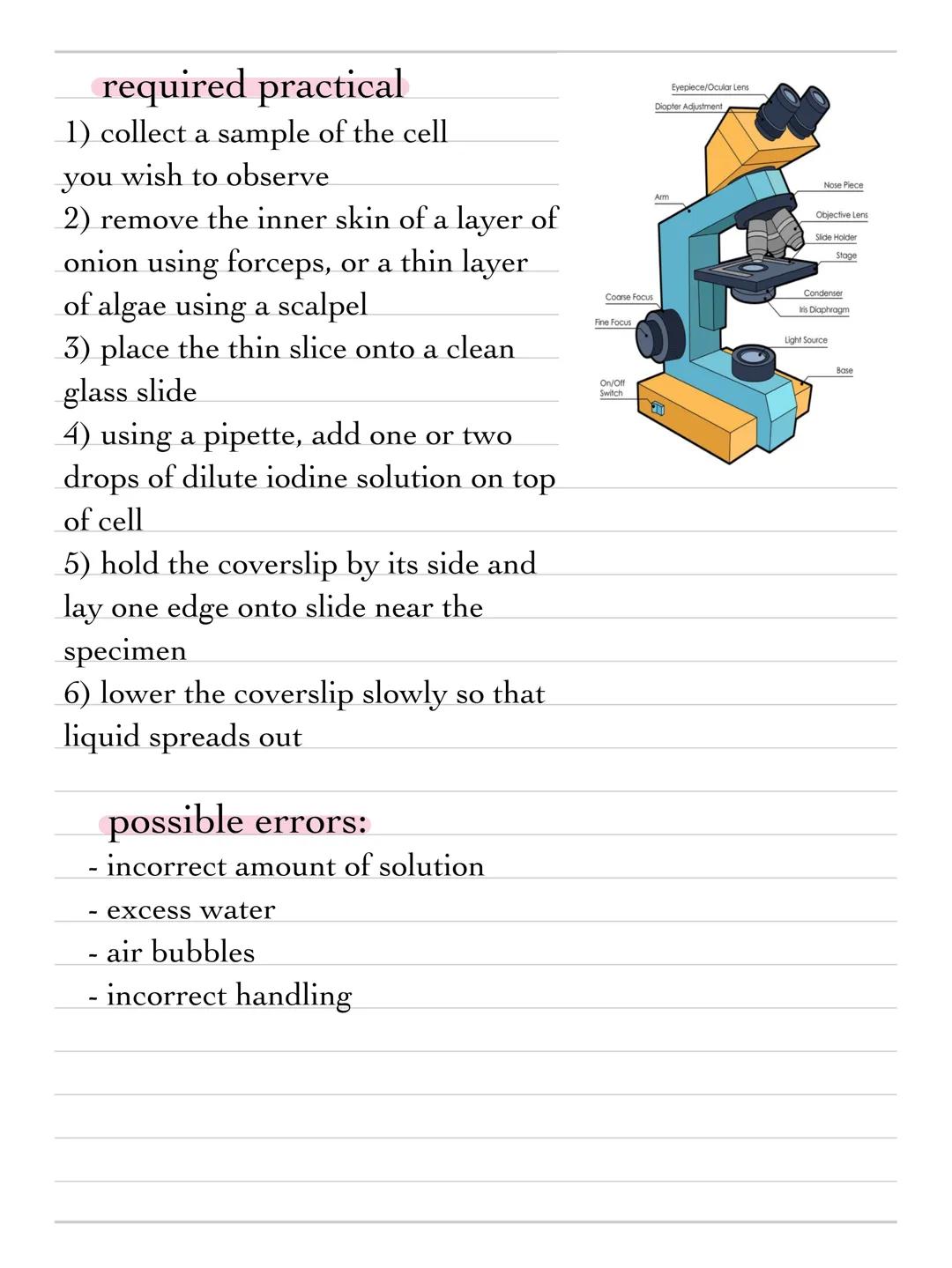 + science
topic b1 - cell biology
cells
prokaryotes and eukaryotes
animal and plant cells are both examples of eukaryotic cells.
they are mo
