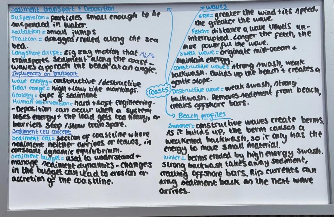 Coasts - Everything you need to know!