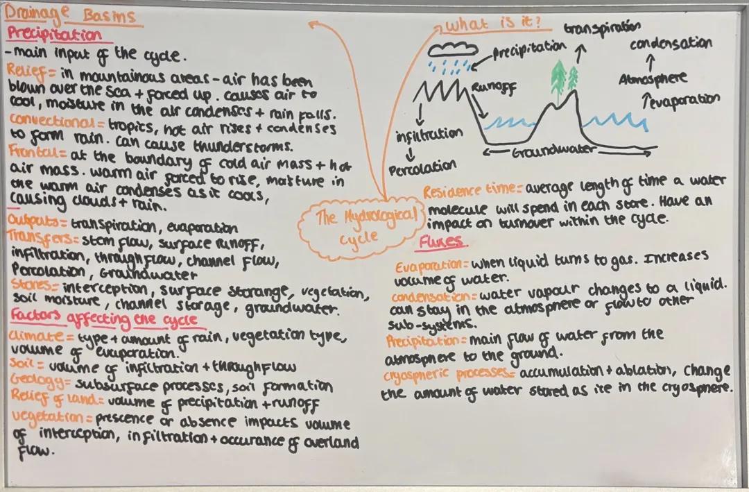 Water - Everything you need to know!