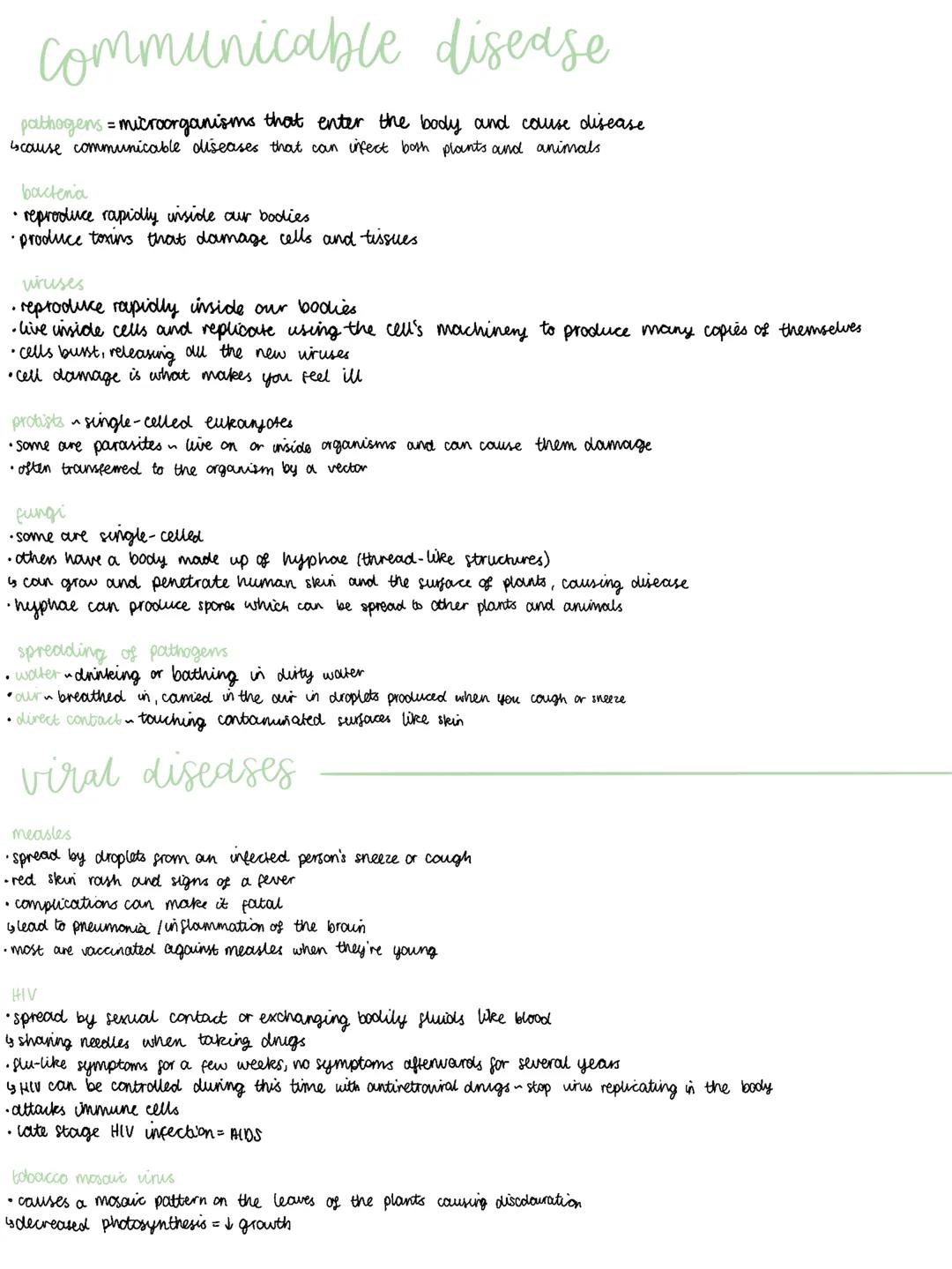 B3~ infection and response revision notes
