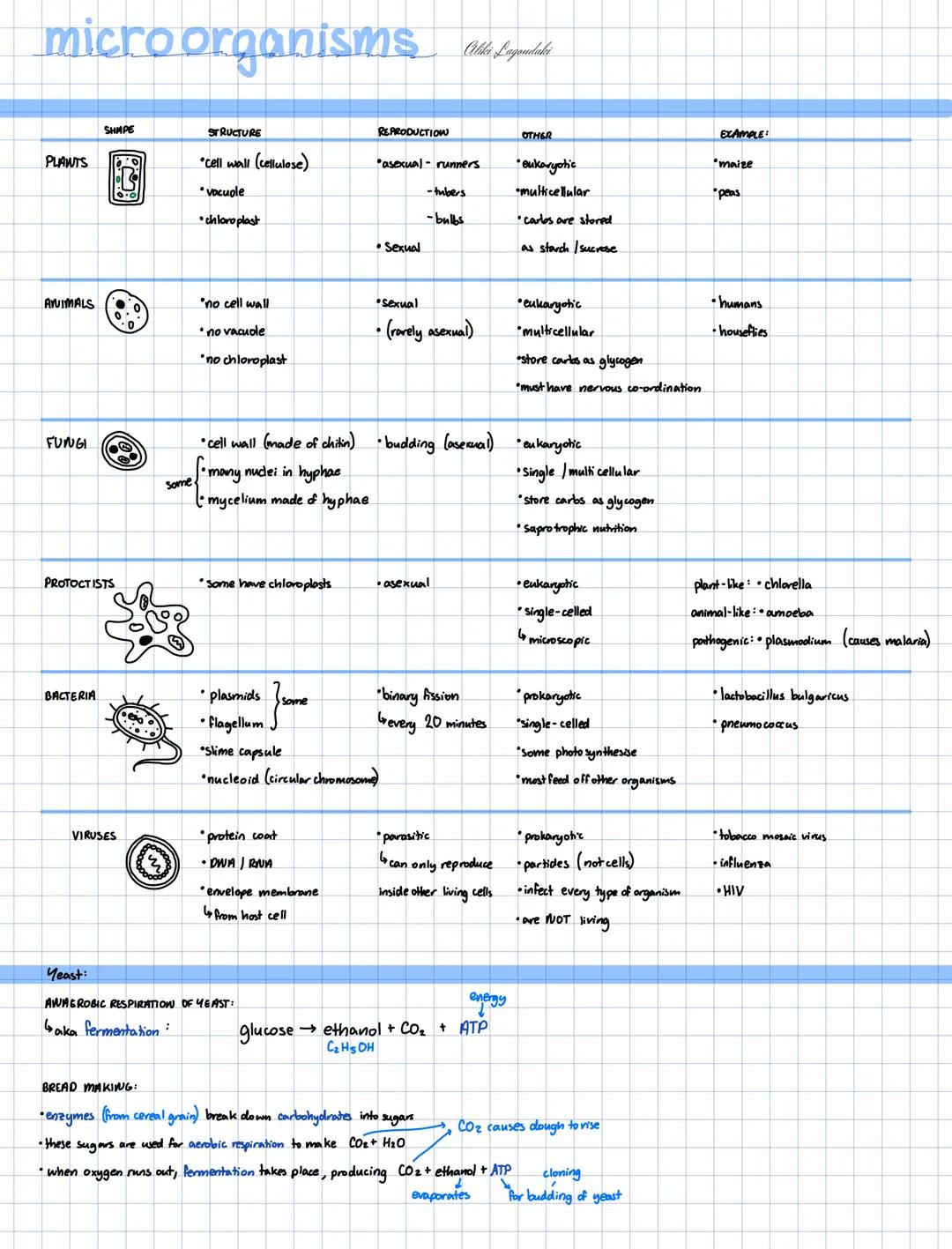 Biology: Microorganisms, Anaerobic Respiration (yeast, yoghurt), Immune Response+Vaccines