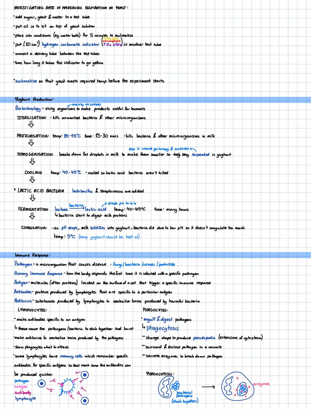 --- OCR Start ---
microorganisms mental
SHAPE
STRUCTURE
REPRODUCTION
OTHER
EXAMPLE:
PLANTS
*cell wall (cellulose)
"asexual runners
*vocuple