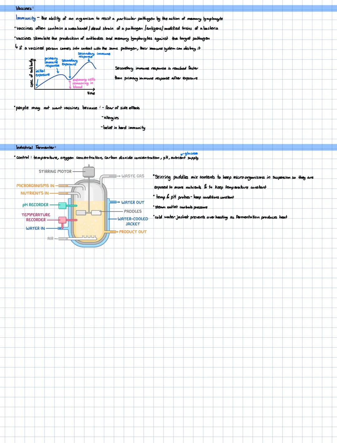 --- OCR Start ---
microorganisms mental
SHAPE
STRUCTURE
REPRODUCTION
OTHER
EXAMPLE:
PLANTS
*cell wall (cellulose)
"asexual runners
*vocuple