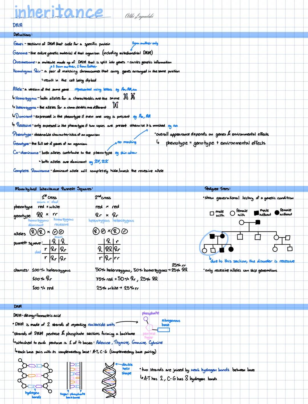 Biology: Inheritace (DNA + evolution + antibiotic resistance)