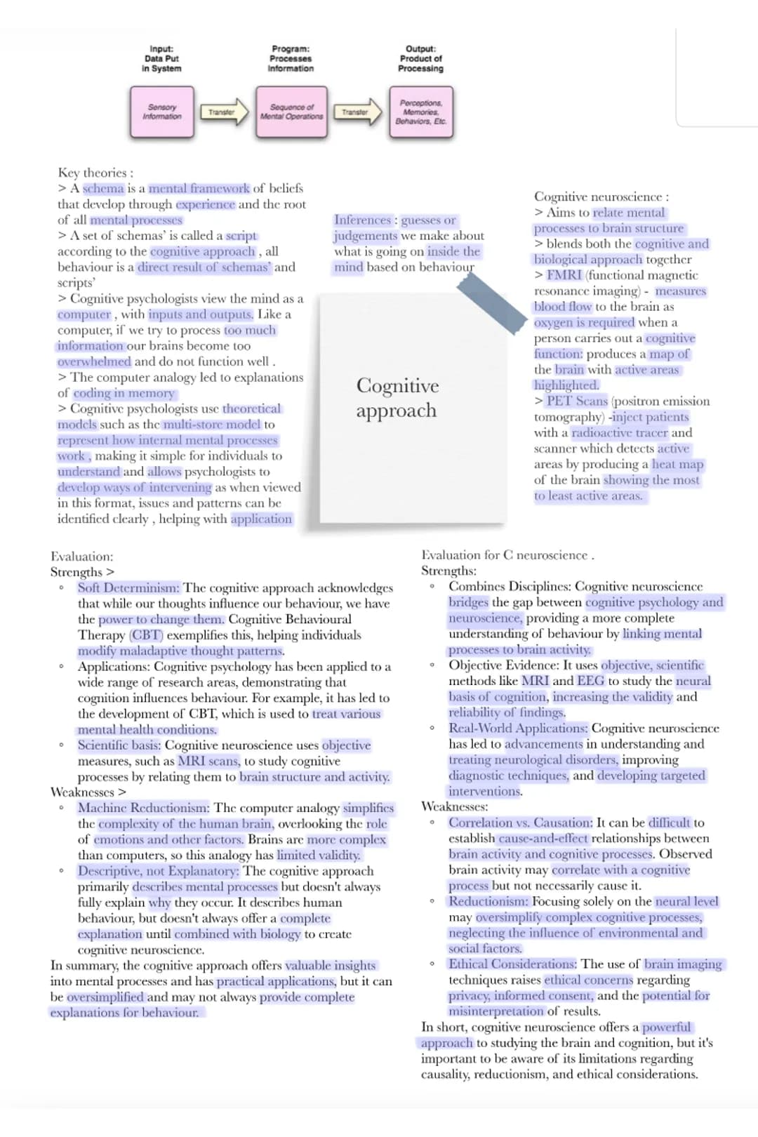 Key theories:
> A schema is a mental framework of beliefs
that develop through experience and the root
of all mental processes
> A set of sc