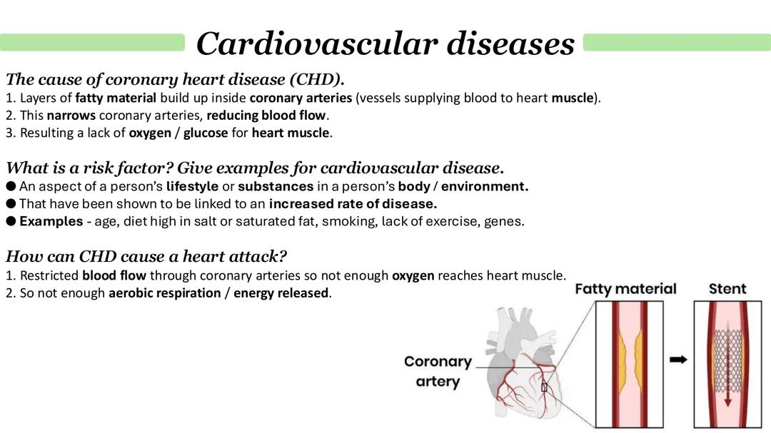Cardiovascular diseases