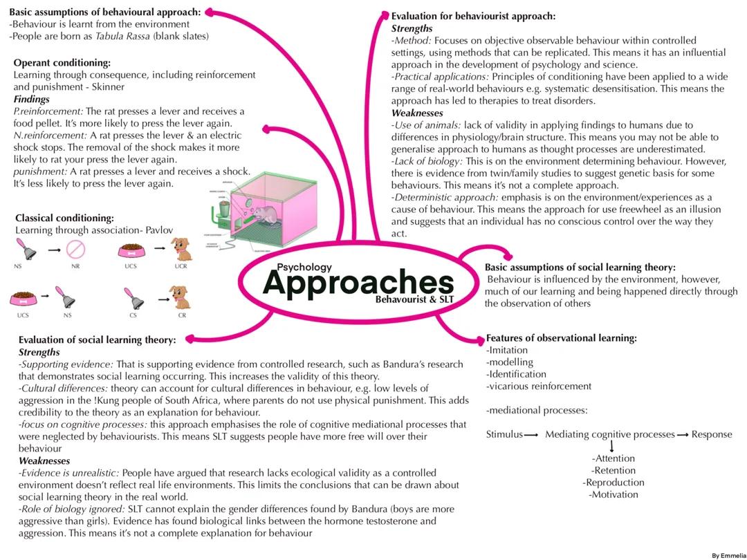 Behaviourist approach and social learning theory