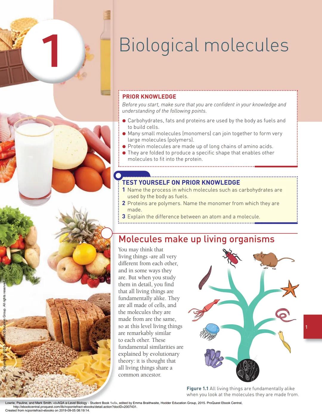 Biology A-Level, unit 1 - Biological molecules booklet/specification