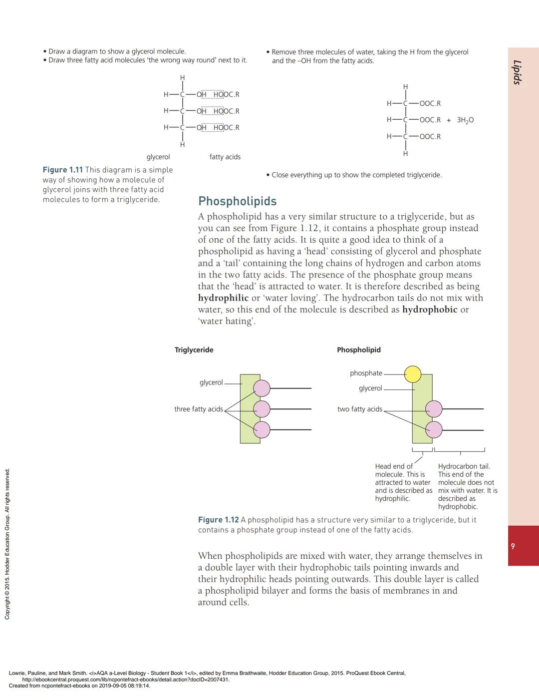 1
Biological molecules
PRIOR KNOWLEDGE
Before you start, make sure that you are confident in your knowledge and
understanding of the followi