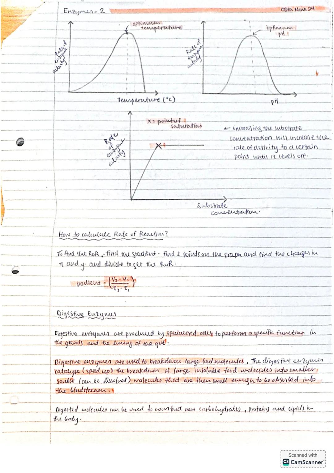 ## Stem Cells
coth Nov 24
Stem cells are undifferentiated cells that have not yet specialised to
performe a specific function. They can crea