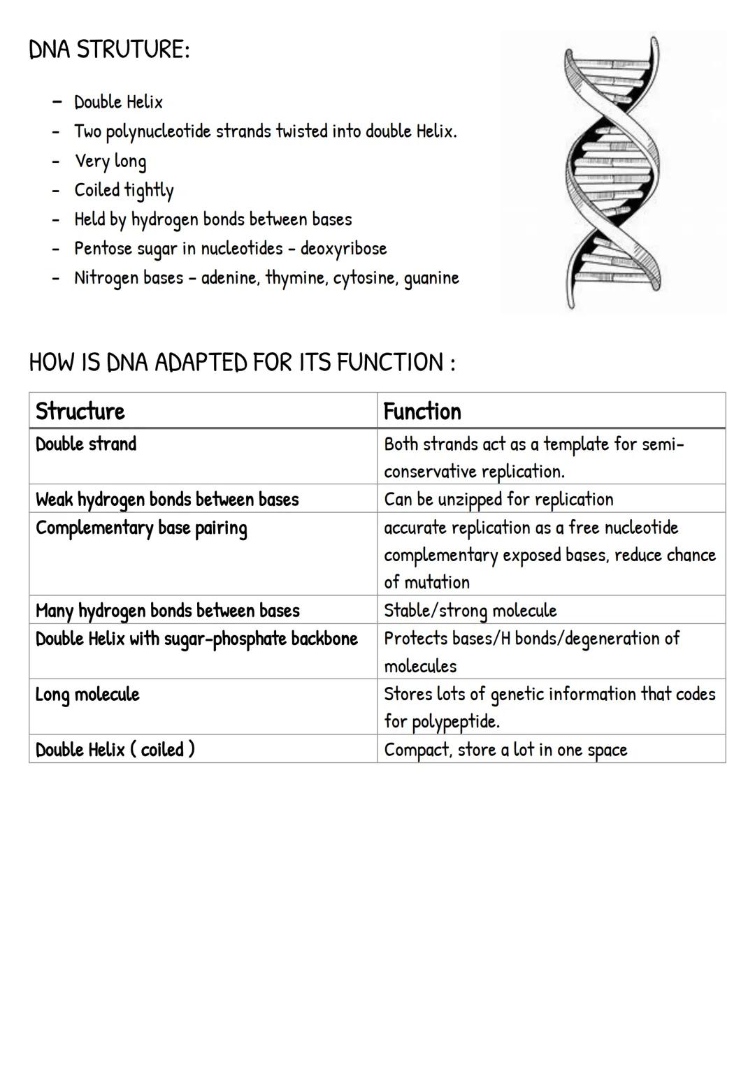 Nucleotide
Components of nucleotide :
- Pentose Sugar (5 Carbon Atoms )
- Phosphate group
- Nitrogen-containing bases
Phosphate
group
Nitrog