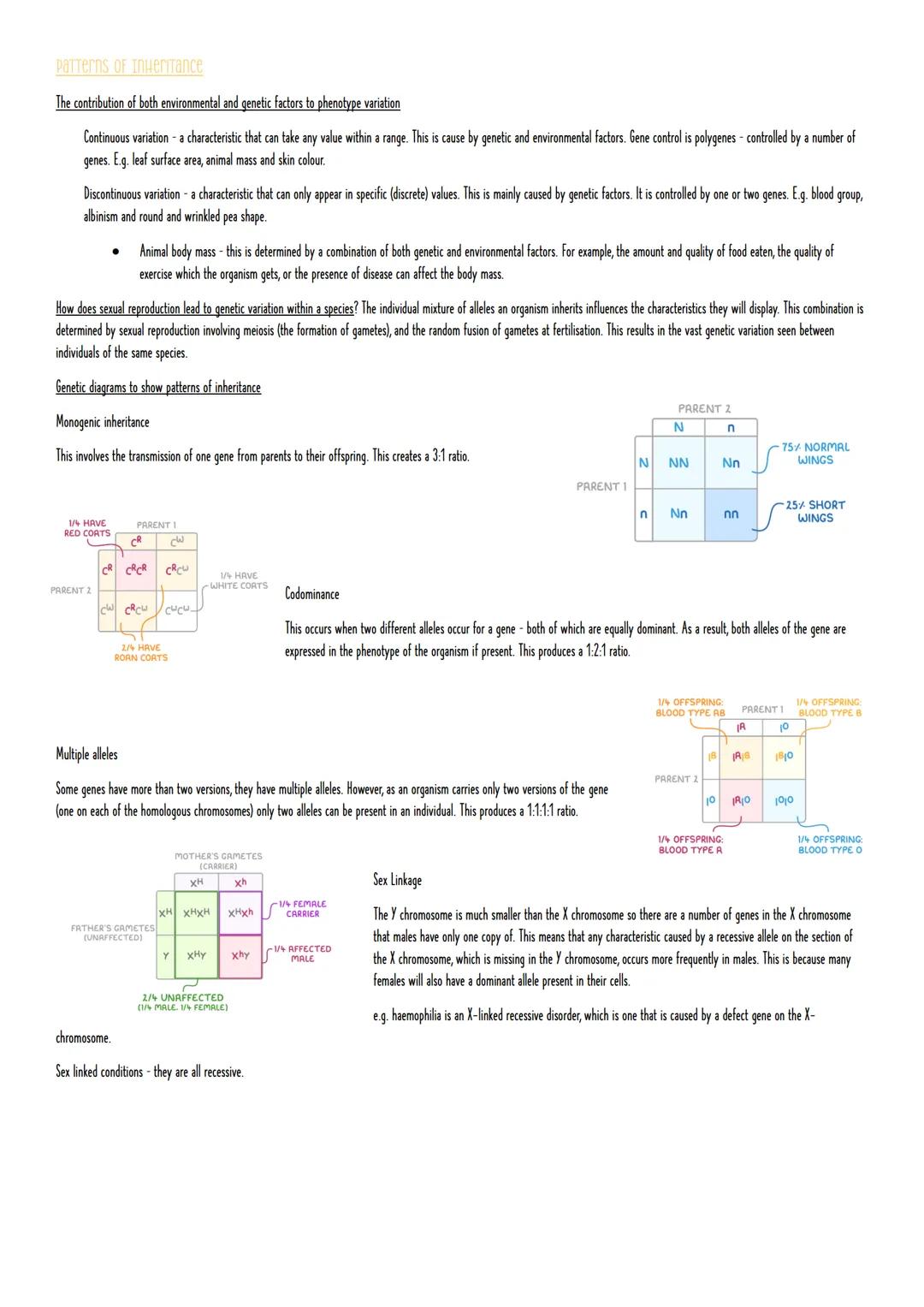 GENETICS AND EVOLUTION
cellular control
Module 6: Genetics, evolution and ecosystems
What is a gene mutation? A mutation is a change in the