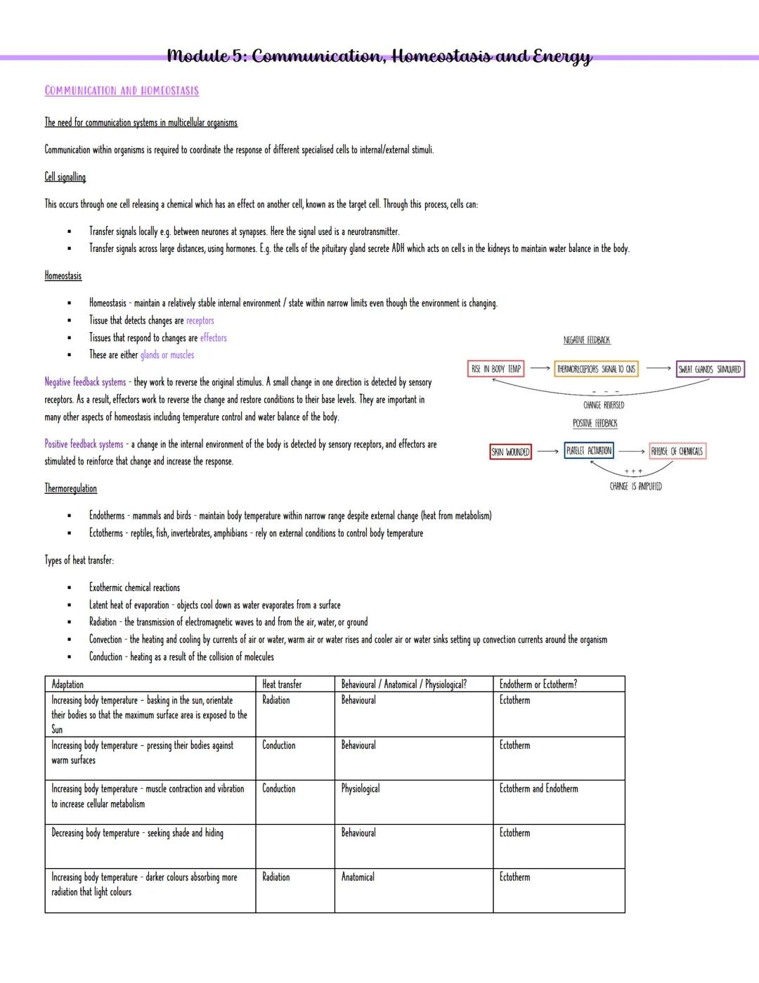 Module 5: Communication, Homeostasis and Energy
COMMUNICATION AND HOMEOSTASIS
The need for communication systems in multicellular organisms