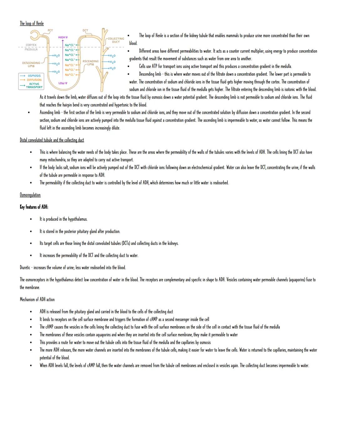 Module 5: Communication, Homeostasis and Energy
COMMUNICATION AND HOMEOSTASIS
The need for communication systems in multicellular organisms