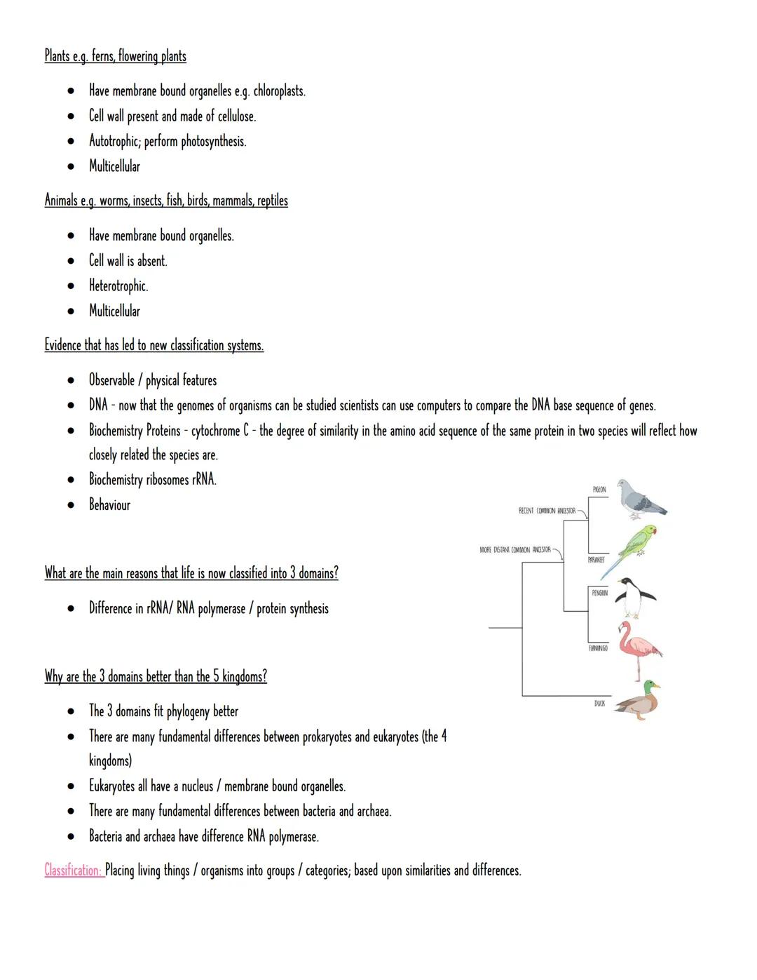 Module 4: Biodiversity, evolution, and disease
CLASSIFICATION AND EVOLUTION
• Species - two individuals that can breed together to produce f