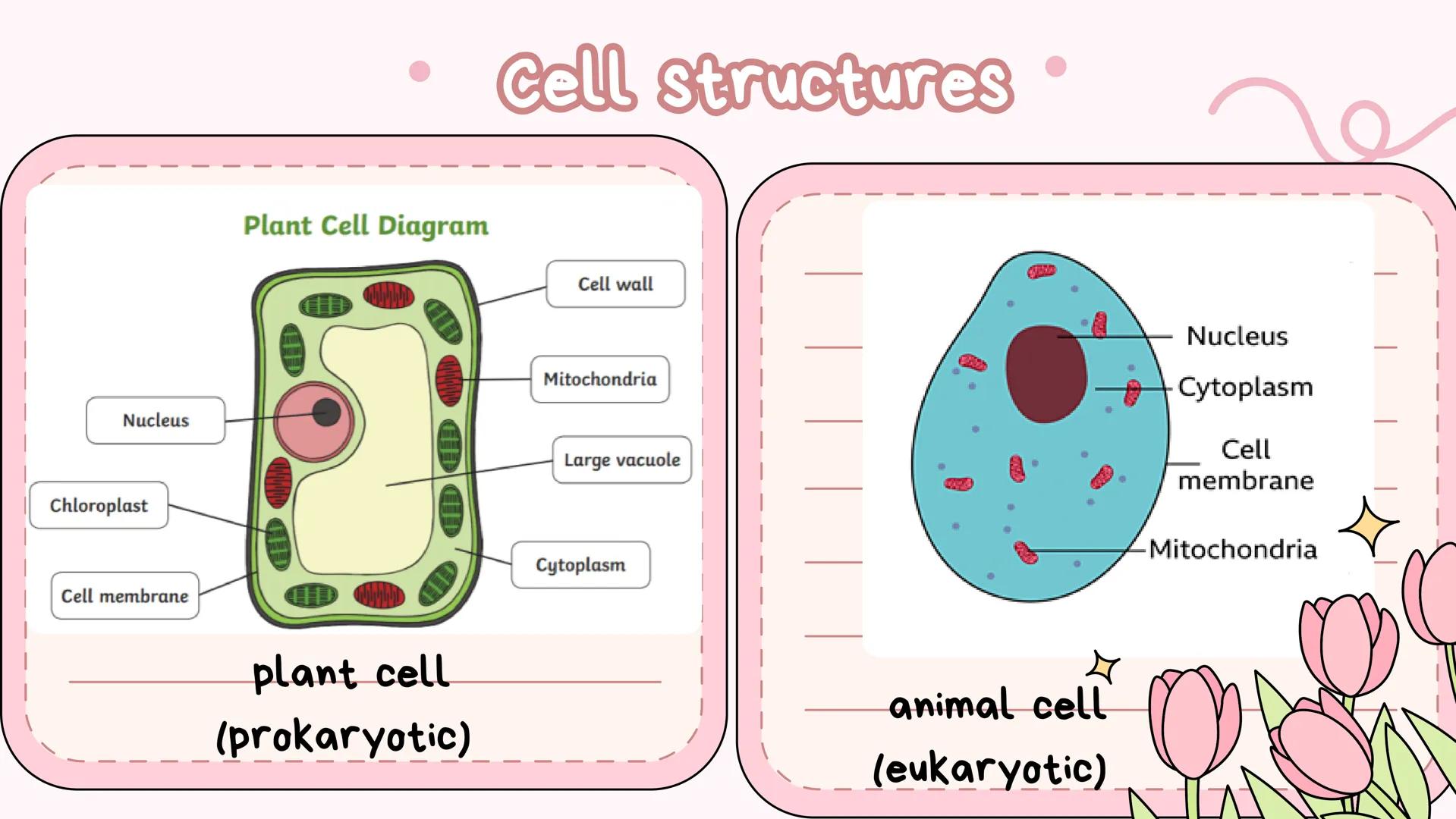# Biology notes
studycute ☆
key info !!
Biology is the study of. Life. Topics of
revision include diet and nutrition, anatomy,
genetics, eu