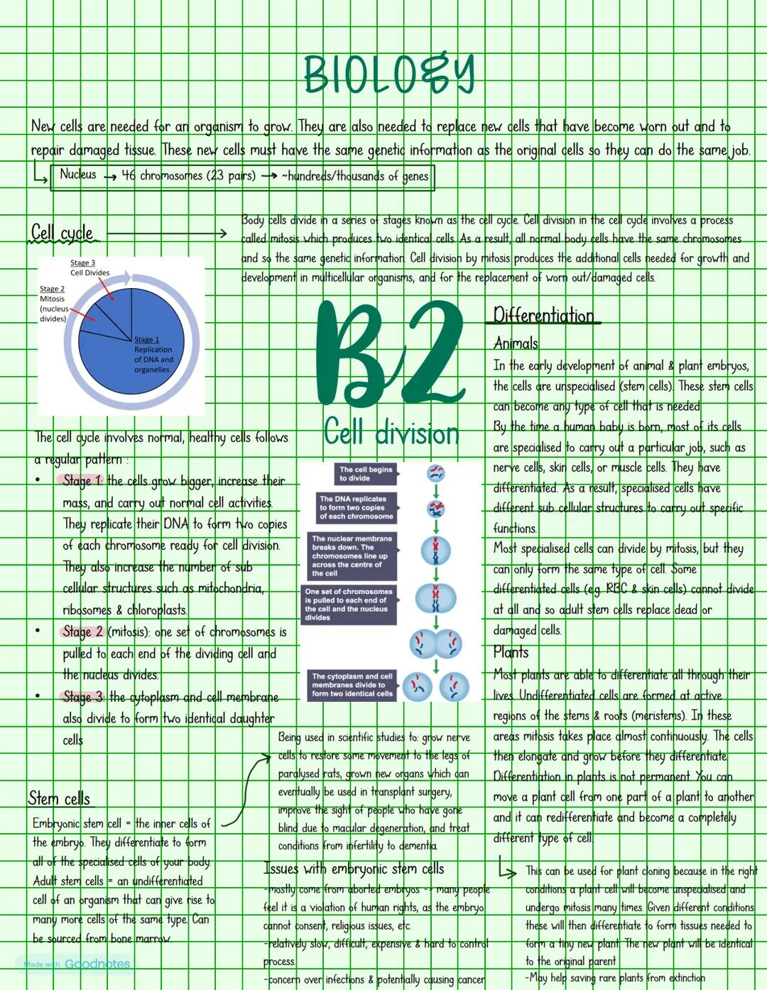 Light microscopes
RP: https://youtu.be/jBVxo5T-ZQM?si=rSVNRJU78_pD3pP
https://youtu.be/ef2Ts2AKHq8?si=qXUkT7wi1QYiro
use a ray of light to f