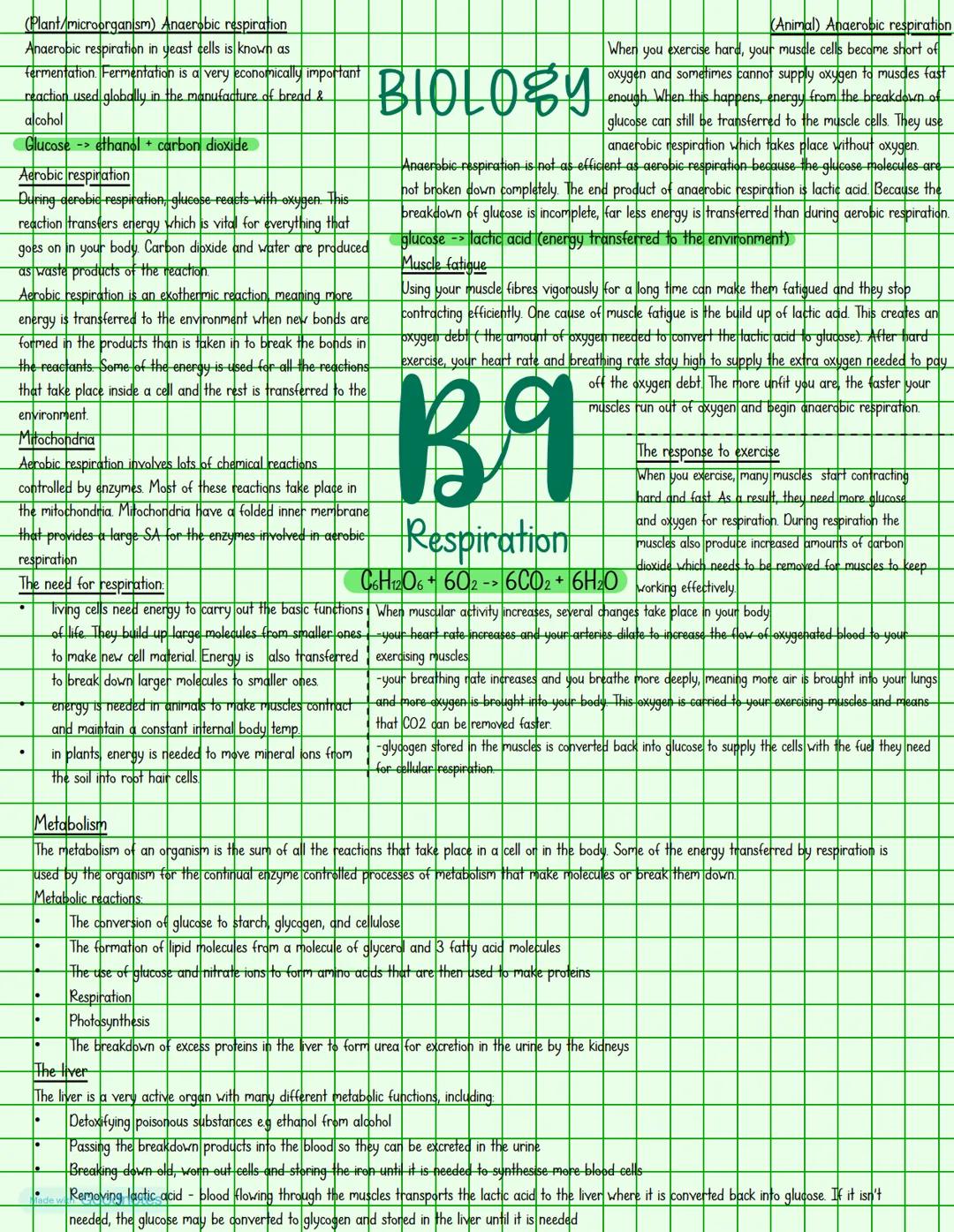 Light microscopes
RP: https://youtu.be/jBVxo5T-ZQM?si=rSVNRJU78_pD3pP
https://youtu.be/ef2Ts2AKHq8?si=qXUkT7wi1QYiro
use a ray of light to f