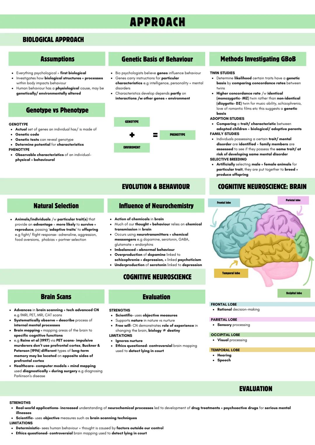 # APPROACH
BIOLOGICAL APPROACH
Assumptions
- Everything psychological first biological
- Investigates how biological structures + process