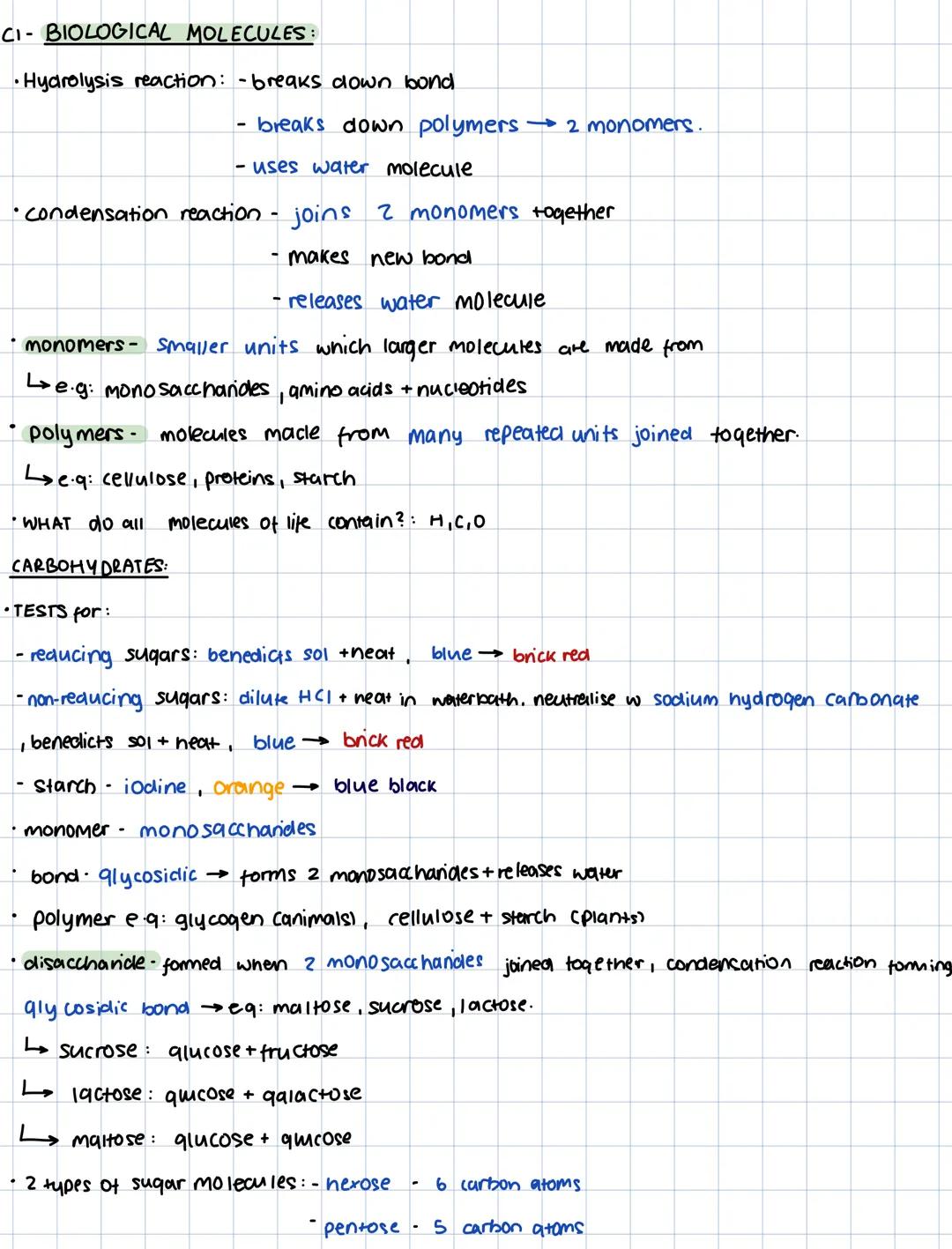 CI- BIOLOGICAL MOLECULES:
•Hydrolysis reaction: -breaks down bond
- breaks down polymers $\rightarrow$ 2 monomers.
- uses water molecul