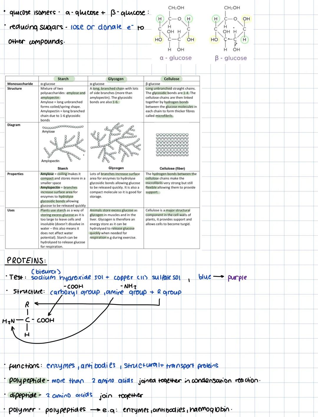 CI- BIOLOGICAL MOLECULES:
•Hydrolysis reaction: -breaks down bond
- breaks down polymers $\rightarrow$ 2 monomers.
- uses water molecul
