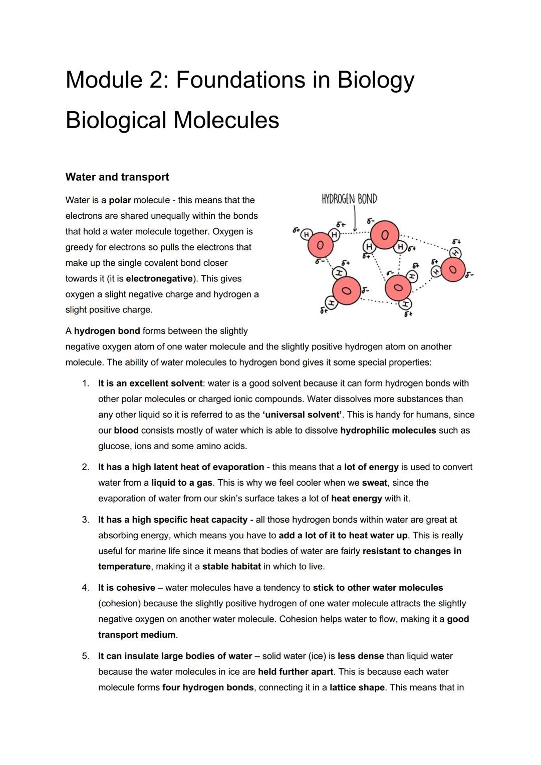 # Module 2: Foundations in Biology
# Biological Molecules
Water and transport
Water is a polar molecule - this means that the
electrons a