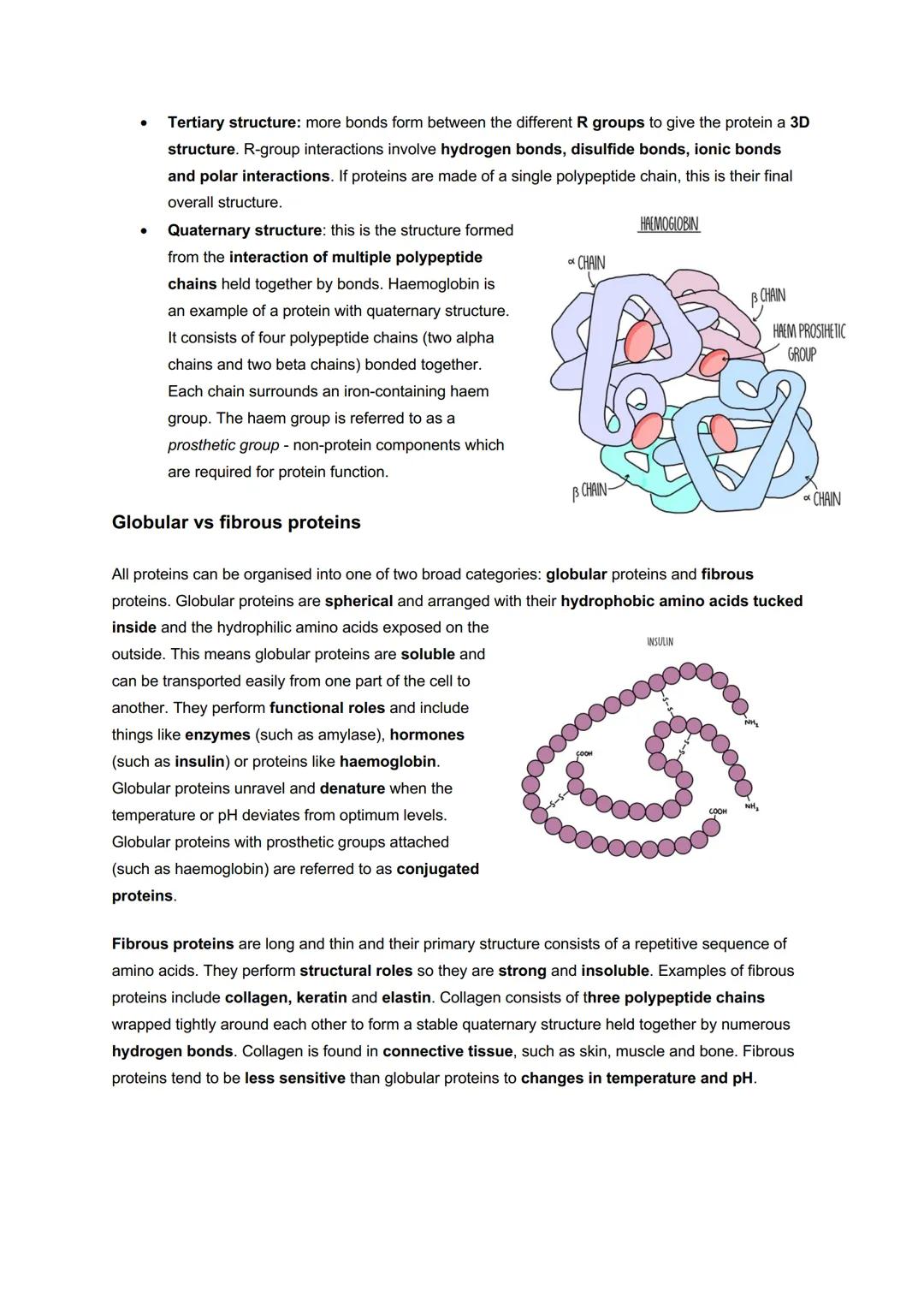 # Module 2: Foundations in Biology
# Biological Molecules
Water and transport
Water is a polar molecule - this means that the
electrons a