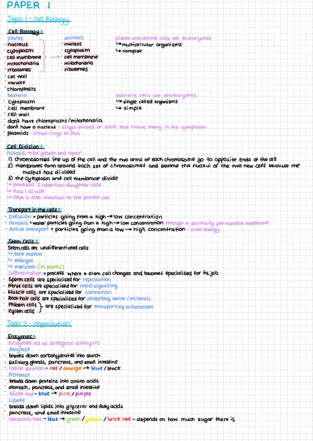 # PAPER I
Topic Cell Biology
Cell Biology:
- plants
- nucleus
- cytoplasm
- cell membrane
- mitochondria
- ribosomes
- cell wall
- va