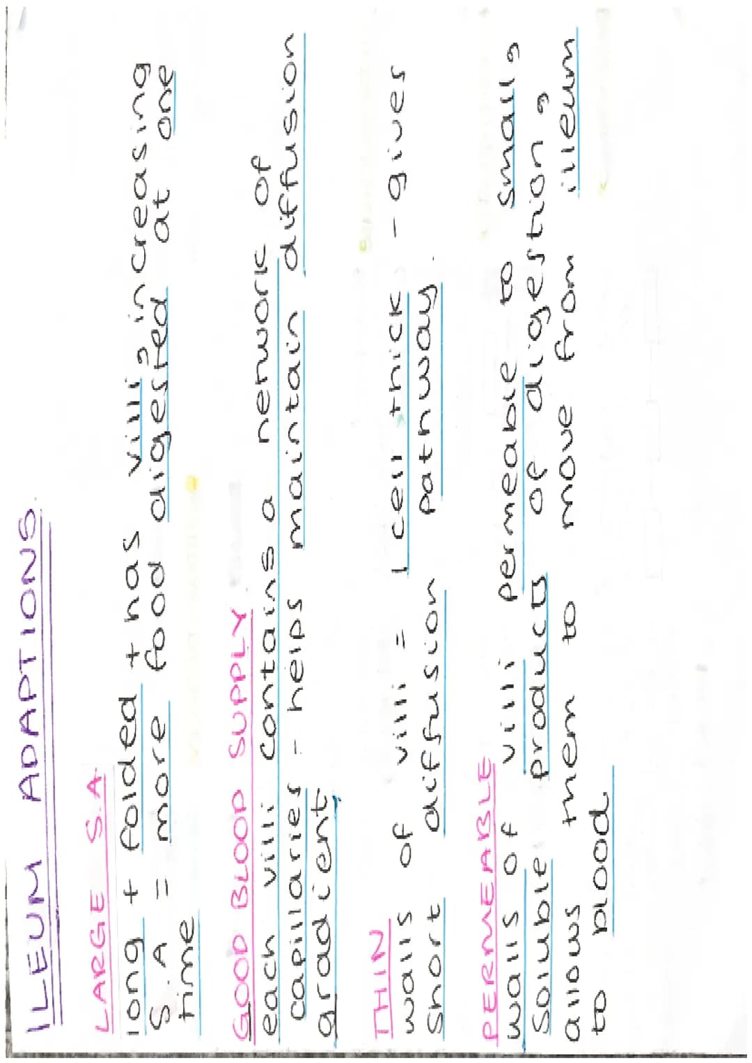 # ENZYMES
- proteins
- biological catalysts
- speed up reactions
optimum
$37^\circ C$
$PH \neq 7$
# HOW THEY WORK
*LOCK + KEY MODEL
active