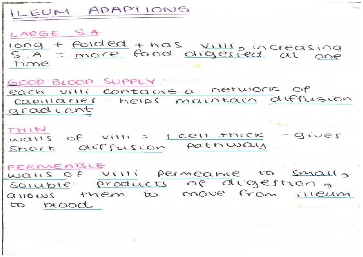 # ENZYMES
- proteins
- biological catalysts
- speed up reactions
optimum
$37^\circ C$
$PH \neq 7$
# HOW THEY WORK
*LOCK + KEY MODEL
active