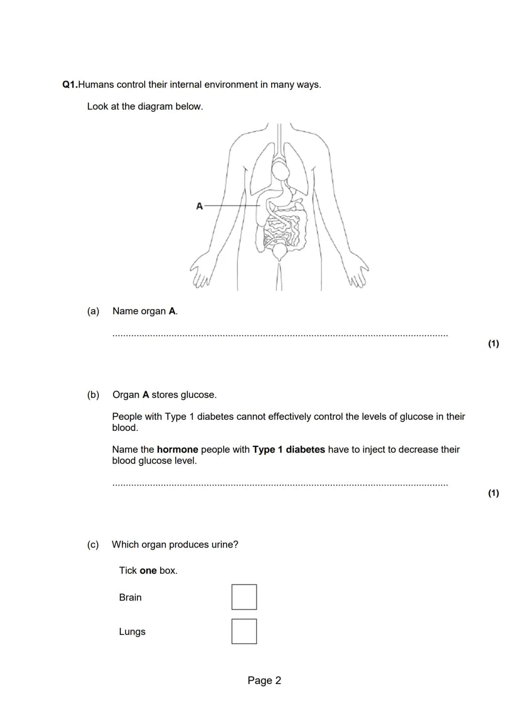 Q1.Humans control their internal environment in many ways.
Look at the diagram below.
(a) Name organ A.
(1)
(b) Organ A stores glucose.
P