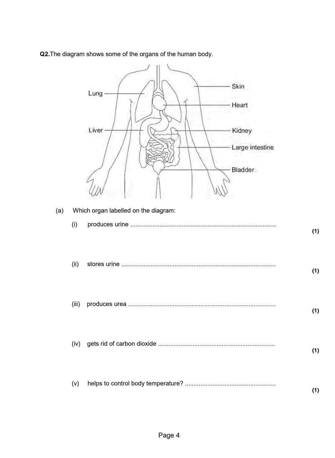 Q1.Humans control their internal environment in many ways.
Look at the diagram below.
(a) Name organ A.
(1)
(b) Organ A stores glucose.
P
