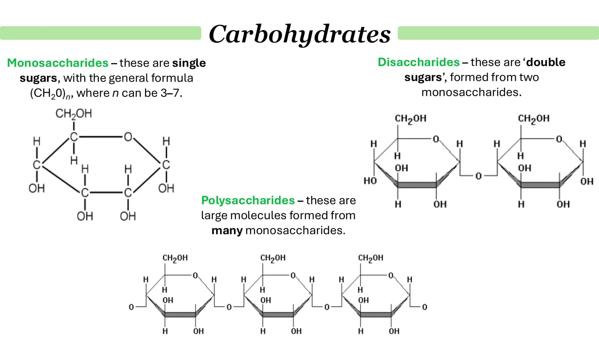 # Carbohydrates
## What are monosaccharides?
- Monomers from which larger carbohydrates are made.
For example:
- Glucose
- Fructose
- Galac
