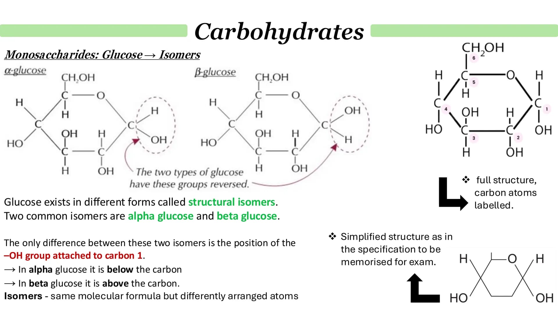 # Carbohydrates
## What are monosaccharides?
- Monomers from which larger carbohydrates are made.
For example:
- Glucose
- Fructose
- Galac