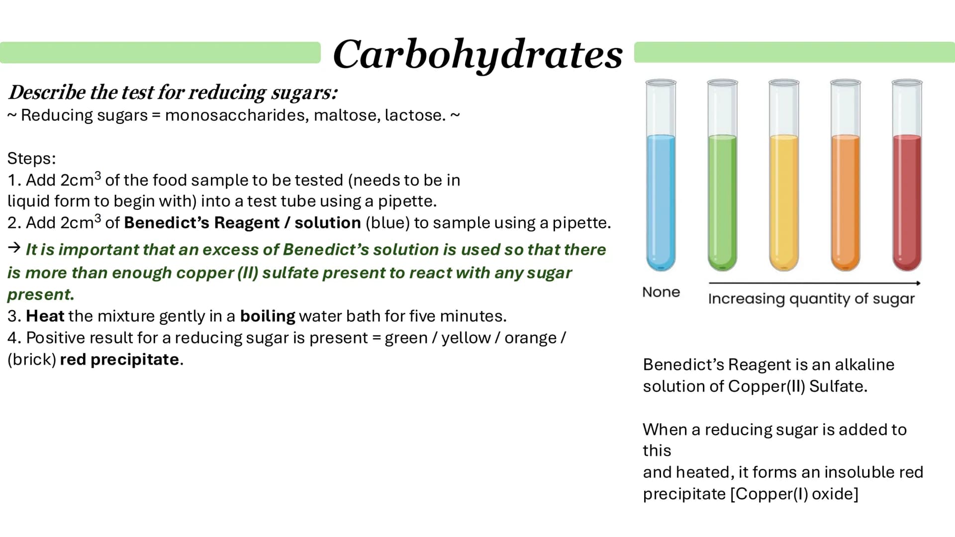 # Carbohydrates
## What are monosaccharides?
- Monomers from which larger carbohydrates are made.
For example:
- Glucose
- Fructose
- Galac