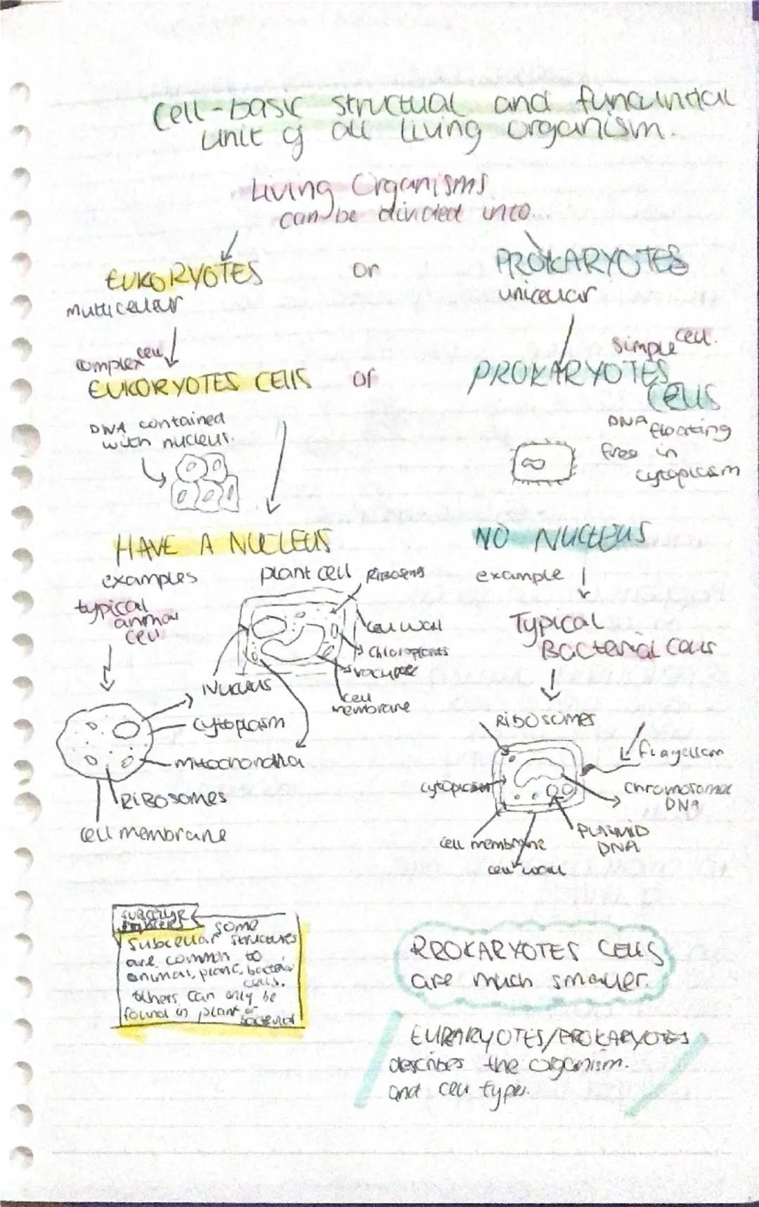 Ceus
Cell membrane - thin skin that,
surrounds the cytoplasm
and
controls what goes in and out
of the cell. (ap))
"Cytoplasm - watery fluid